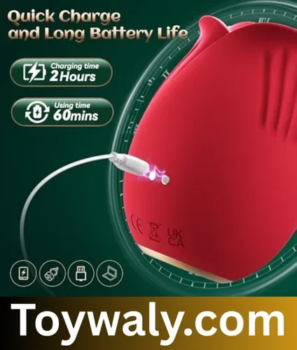 best adult sex toys in lahore 1